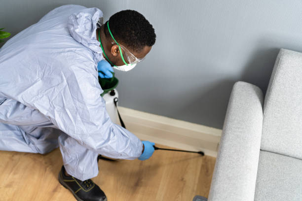 Best Residential Pest Control  in Laurel Hill, VA